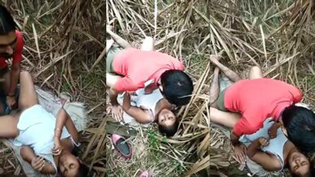 Desi Cute Girl Sex In Jungle Her Boyfriend Viral Porn Video
